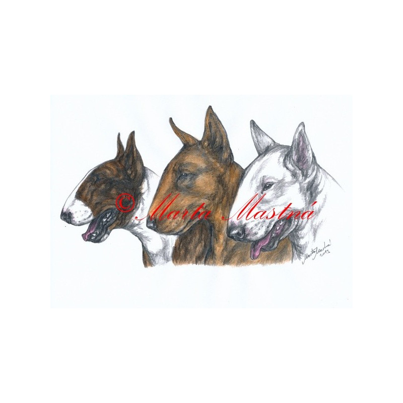 Autorský tisk bulteriér