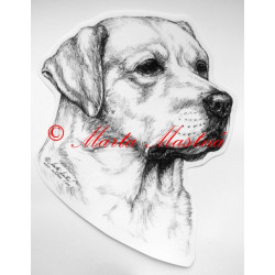 Labradorský retrívr