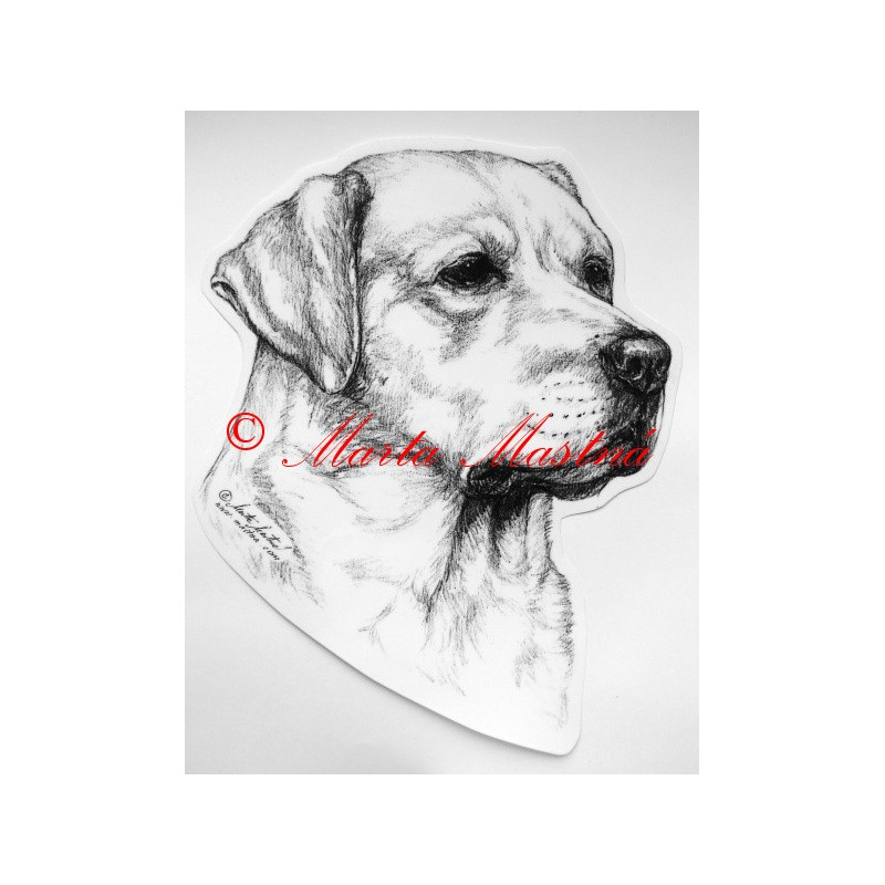 Labradorský retrívr