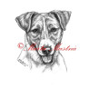 Autorský tisk Jack Russel teriér