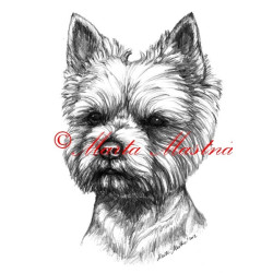 Autorský tisk jorkšír teriér