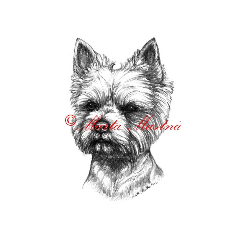 Autorský tisk jorkšír teriér