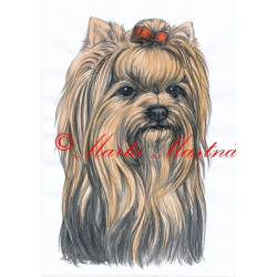 Autorský tisk jorkšír teriér