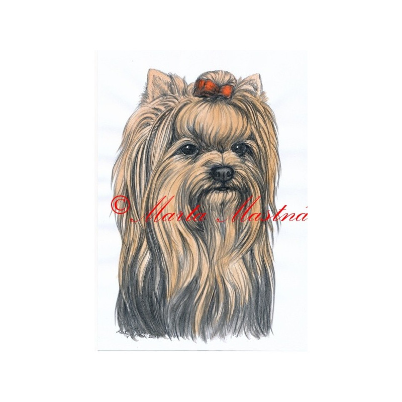Autorský tisk jorkšír teriér