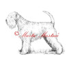Autorský tisk soft coated wheaten teriér, pšeničný teriér