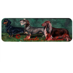 Autorský tisk jezevčík