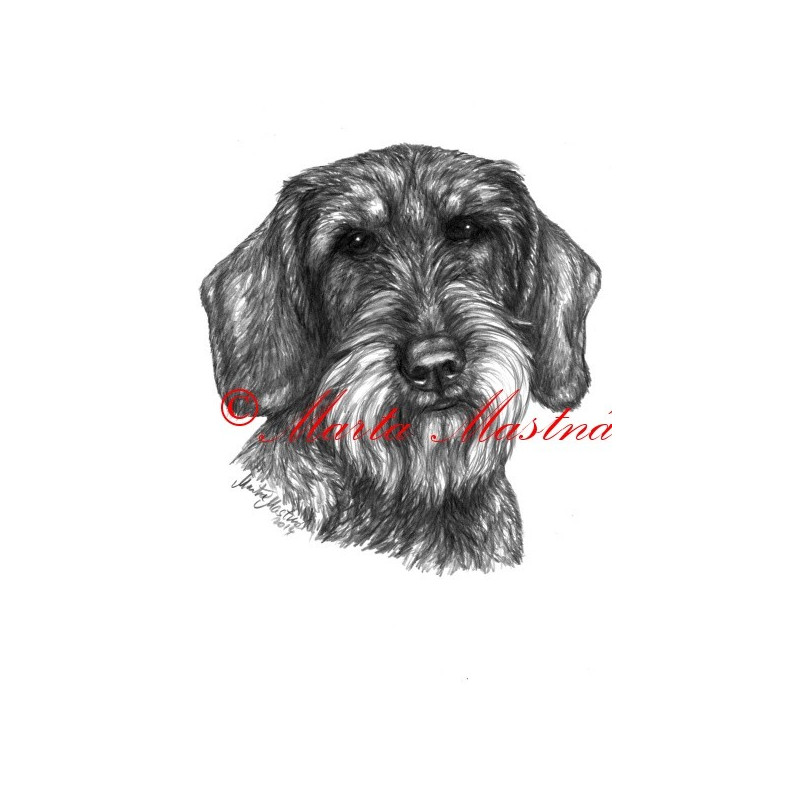 Autorský tisk jezevčík