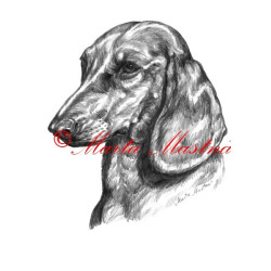 Autorský tisk jezevčík