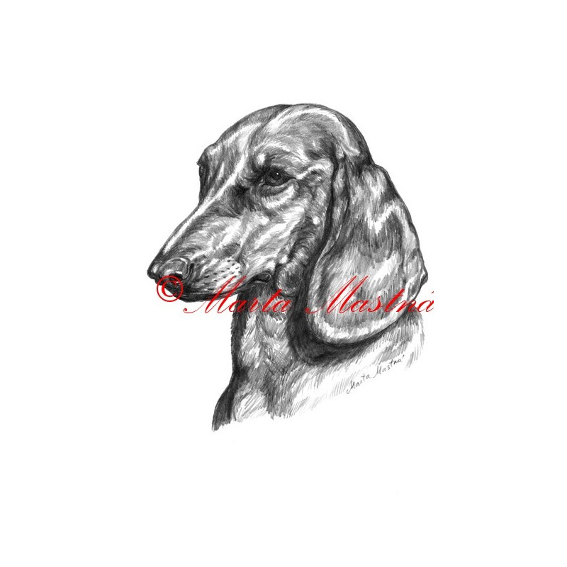 Autorský tisk jezevčík