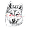 Autorský tisk sibiřský husky