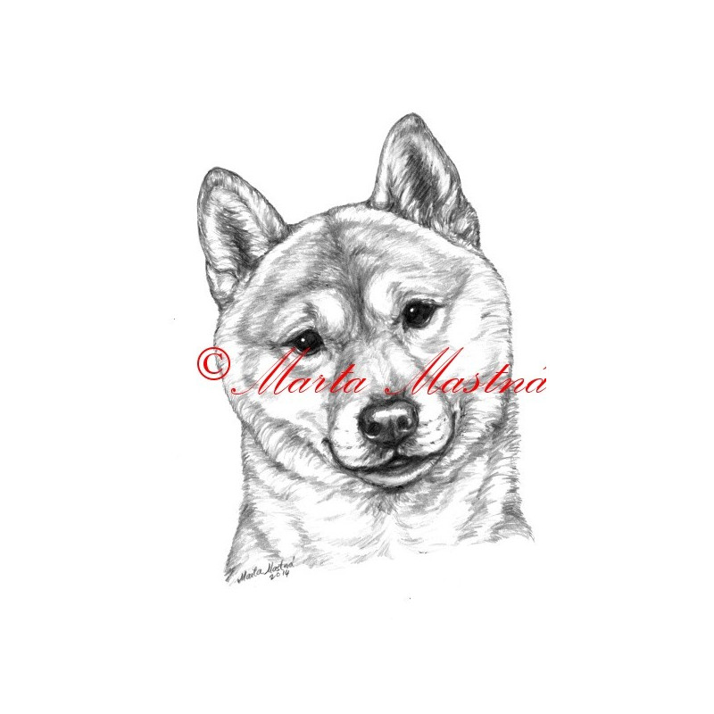 Autorský tisk shiba inu, šiba