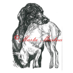 Autorský tisk český fousek, ohař, zajíc