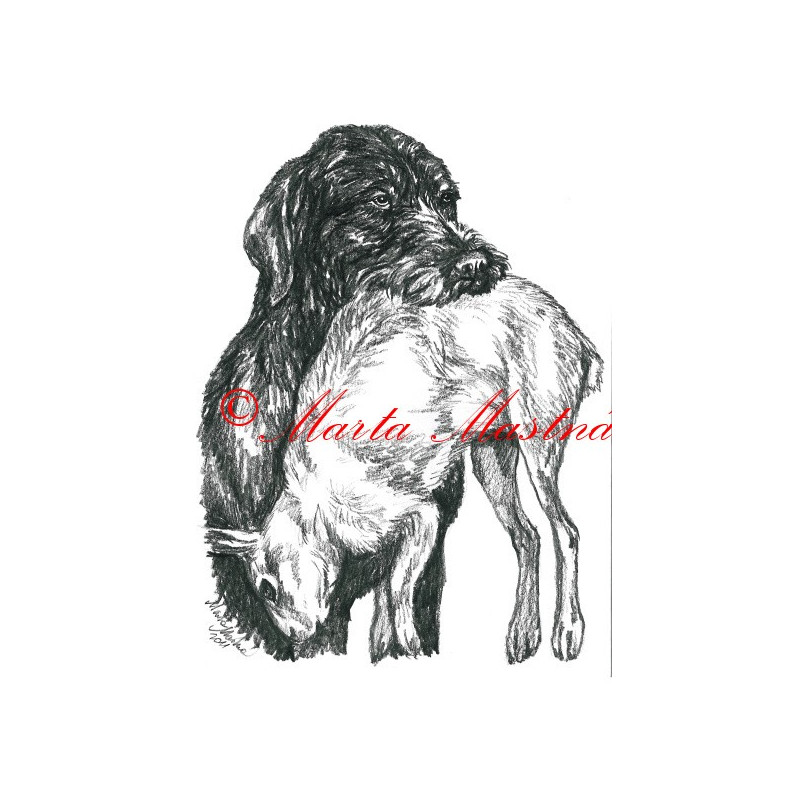 Autorský tisk český fousek, ohař, zajíc