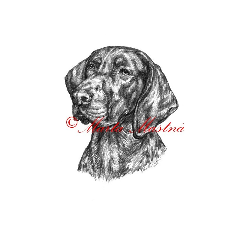 Autorský tisk německý ohař