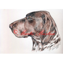 Autorský tisk německý ohař