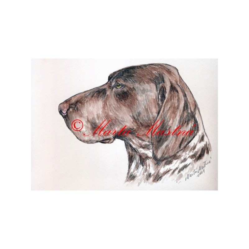 Autorský tisk německý ohař