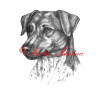 Autorský tisk český strakatý pes