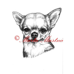 Autorský tisk čivava