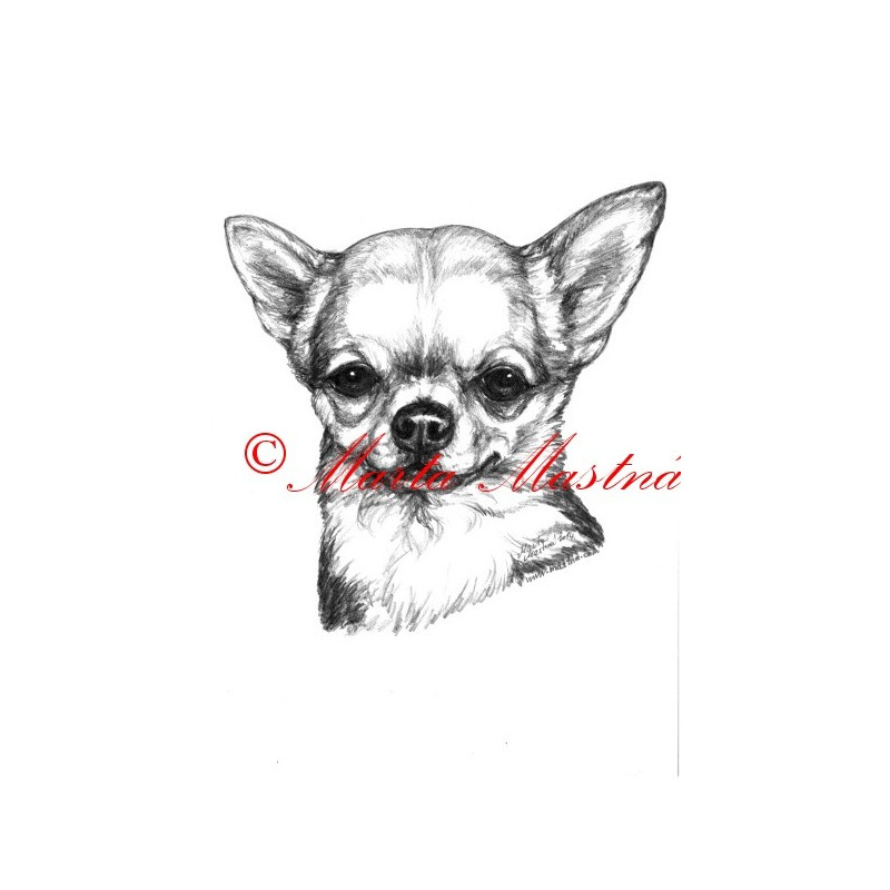 Autorský tisk čivava