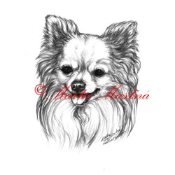 Autorský tisk čivava