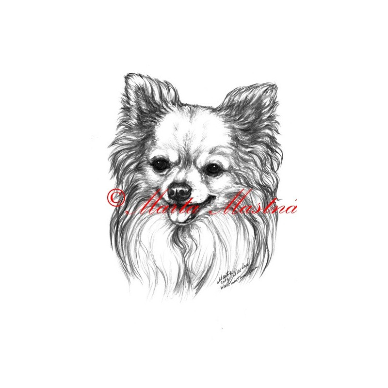 Autorský tisk čivava