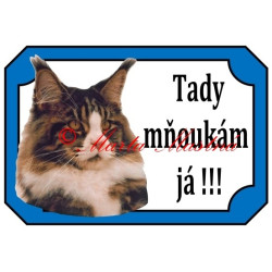 Tabulka kočka mainská mývalí