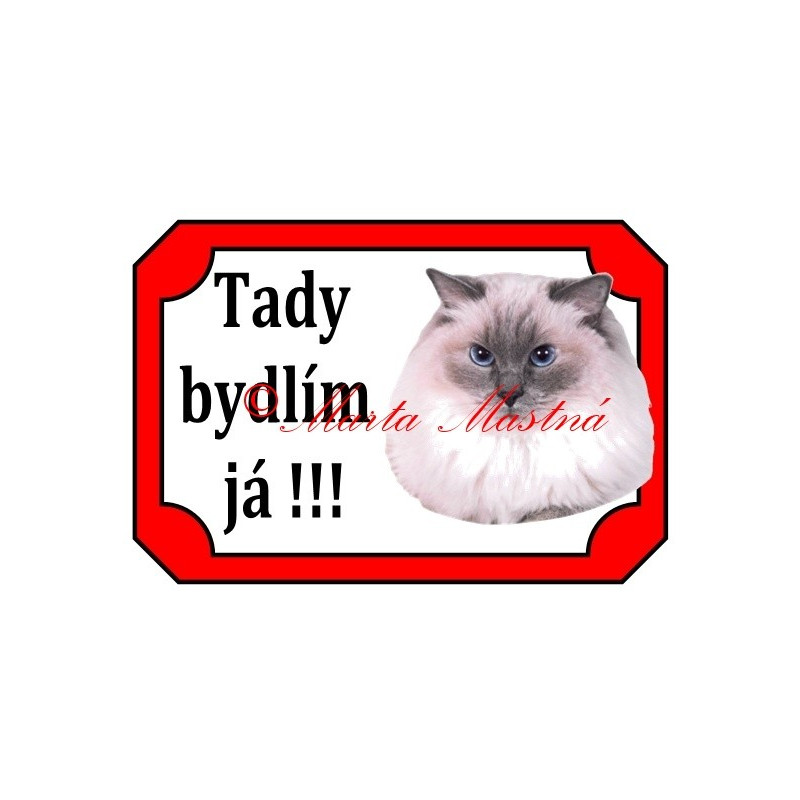 Tabulka kočka ragdoll