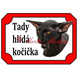 Tabulka kočka orientální