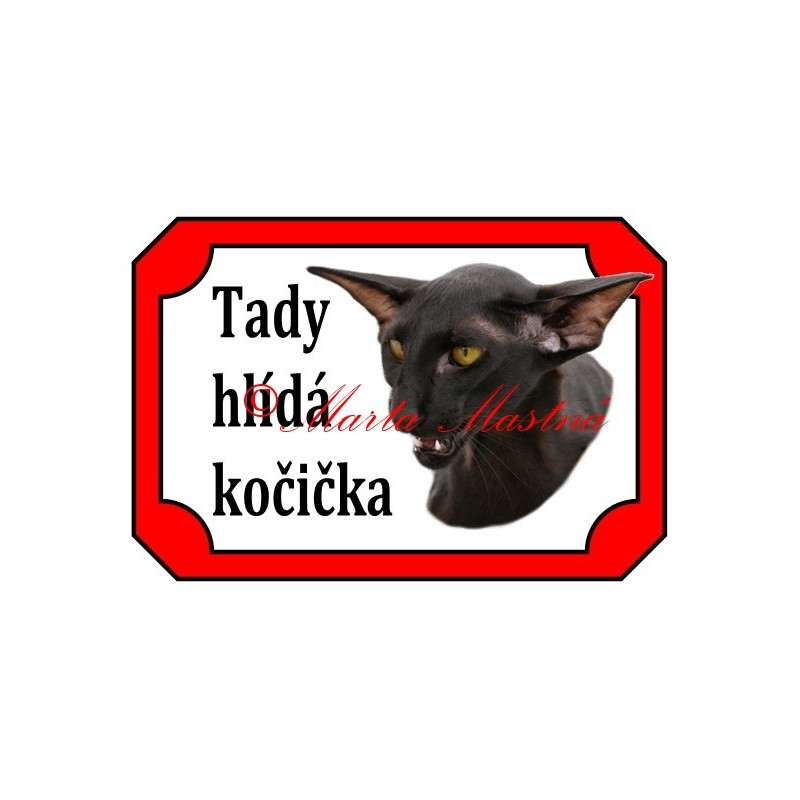 Tabulka kočka orientální