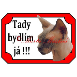 Tabulka kočka sphinx, sfinx