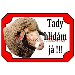 Tabulka beran, ovce merino