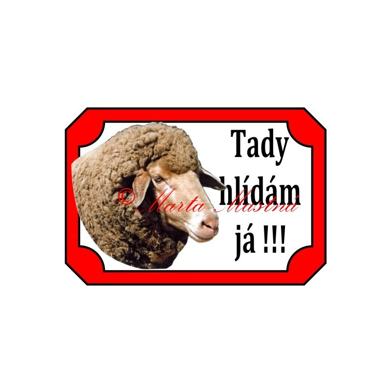 Tabulka beran, ovce merino