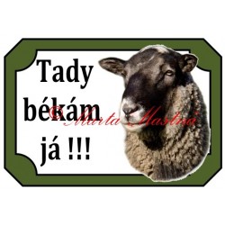 Tabulka beran romanovský, ovce