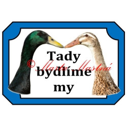 Tabulka kachna indický běžec