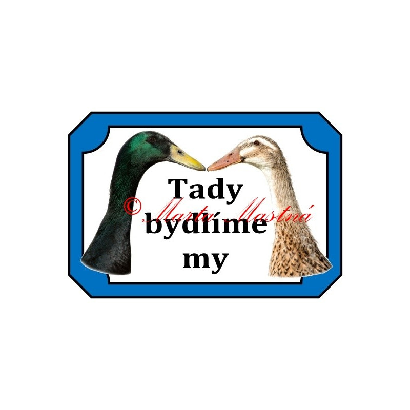 Tabulka kachna indický běžec