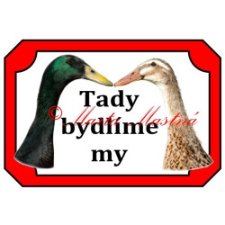 Tabulka kachna indický běžec