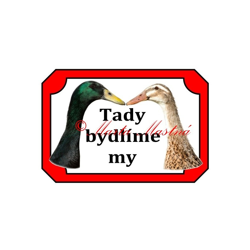 Tabulka kachna indický běžec