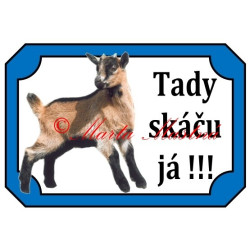 Tabulka koza kamerunská, kůzle