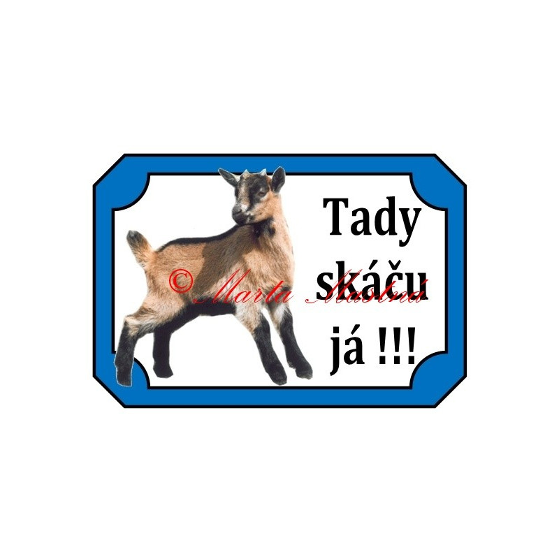 Tabulka koza kamerunská, kůzle