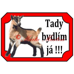 Tabulka koza kamerunská, kůzle