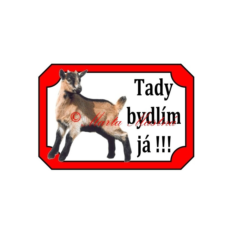 Tabulka koza kamerunská, kůzle