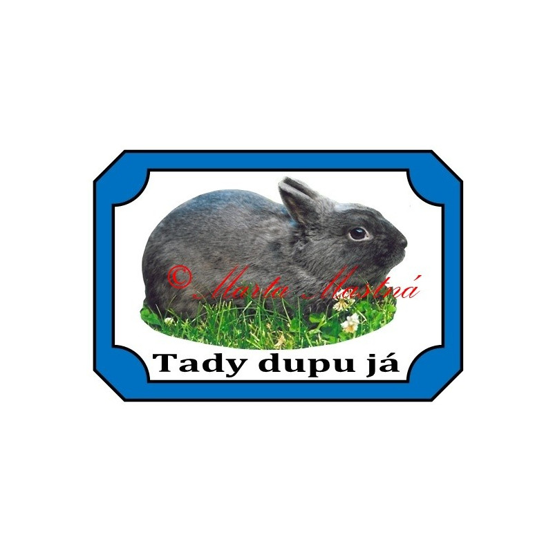 Tabulka králík zakrslý