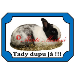 Tabulka králík zakrslý