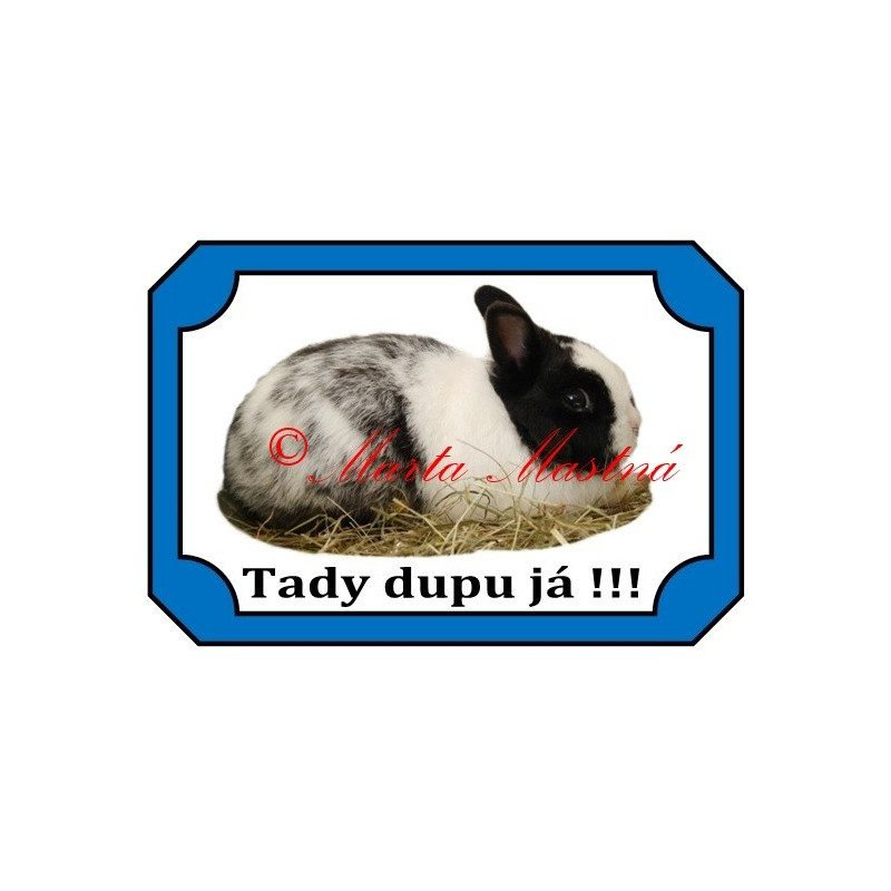 Tabulka králík zakrslý