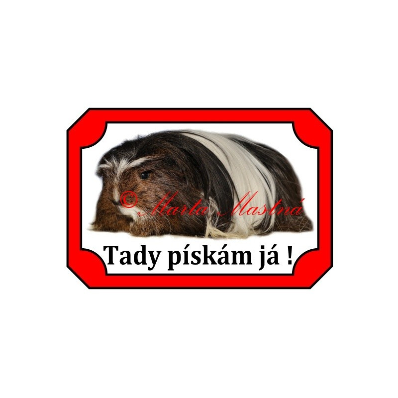 Tabulka morče koronet