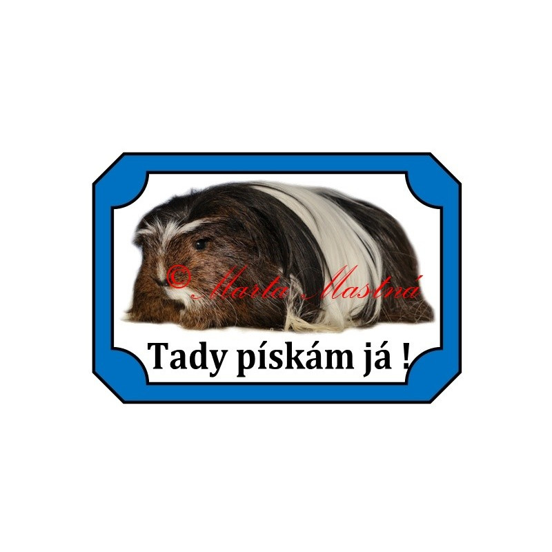 Tabulka morče koronet