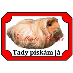 Tabulka morče koronet