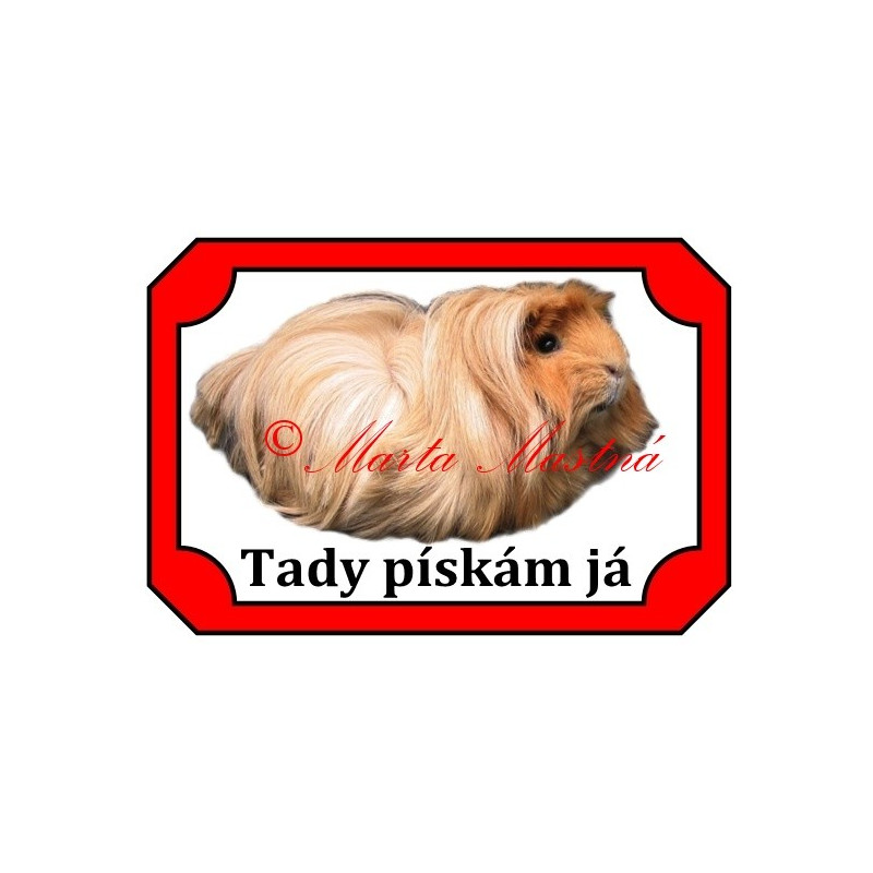 Tabulka morče koronet