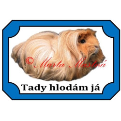 Tabulka morče koronet