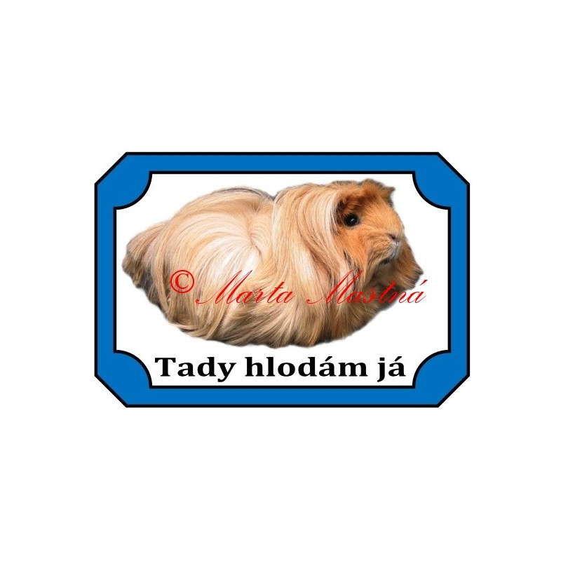 Tabulka morče koronet